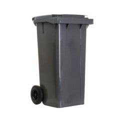 CONTENTOR 120L 2RODAS CZ