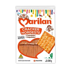 BISC. CREAM CRACKER 300G NORDESTE  TRAD.