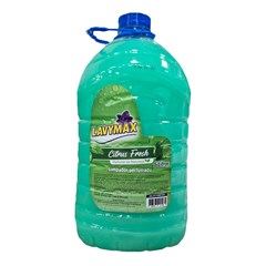 LIMPADOR PERF. 5L CITRUS FRESH