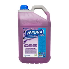 DESINF. 5L VERONA LAV. MUSK