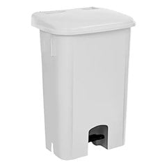 LIXEIRA C/PEDAL 100L CP10BR